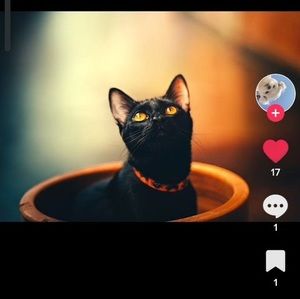 Meet your Posher, Elyce m.